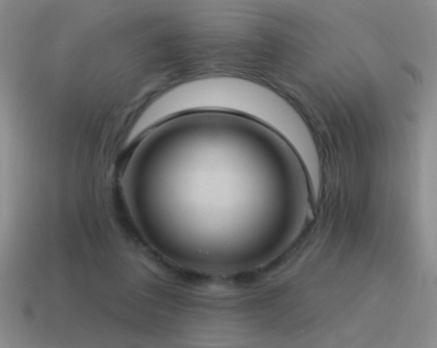 X0000115490308200911061312