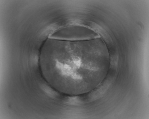 X0000115490309200911061312