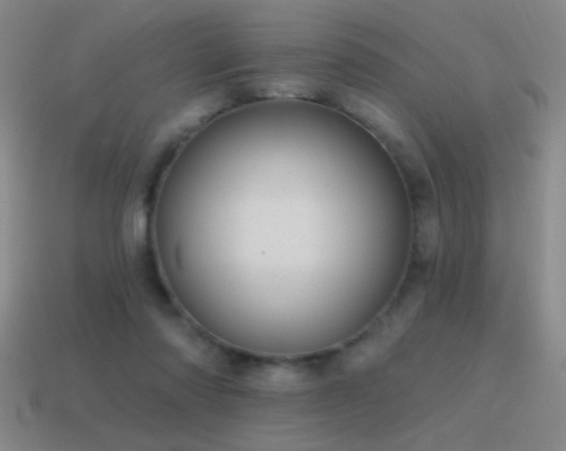 X0000115490310200911061312