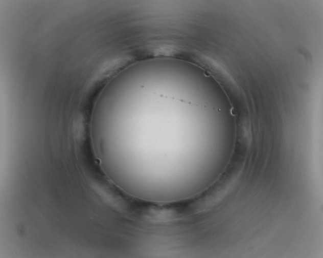 X0000115490311200911061312