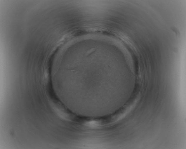 X0000115490312200911061312