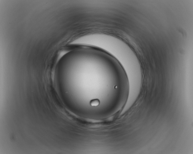 X0000115490313200911061312