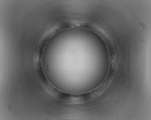 X0000115490314200911061312
