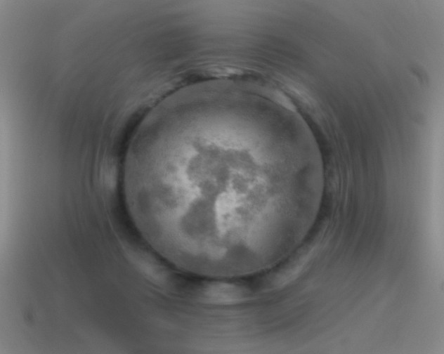 X0000115490315200911061312
