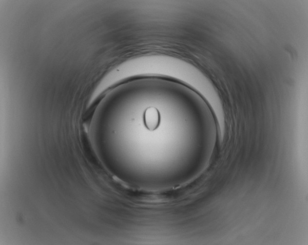 X0000115490316200911061312