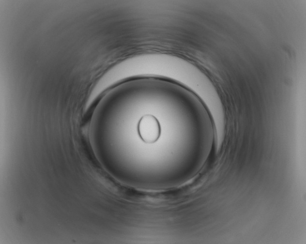 X0000115490317200911061312