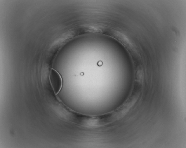 X0000115490318200911061312