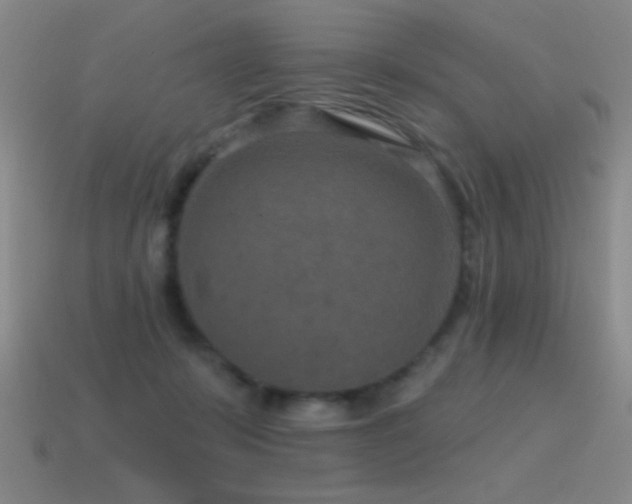 X0000115490319200911061312