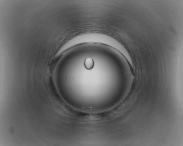 X0000115490320200911061312