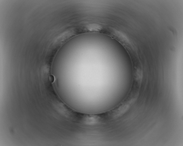 X0000115490321200911061312