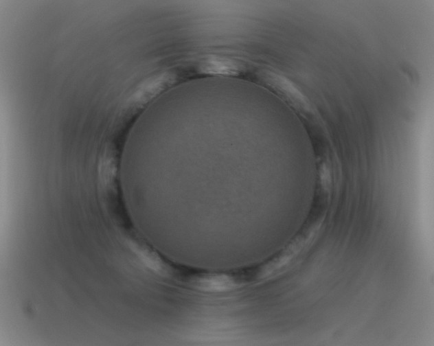 X0000115490322200911061312