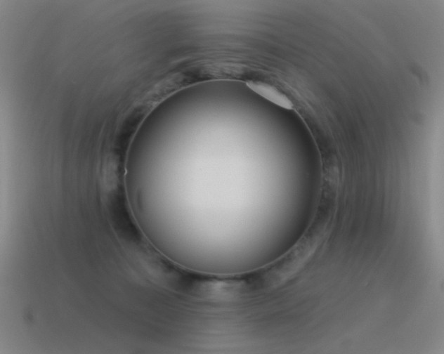 X0000115490323200911061312