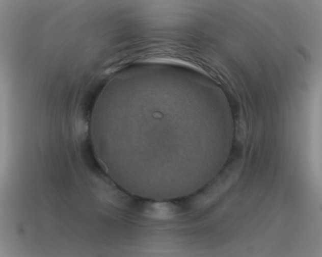 X0000115490324200911061312