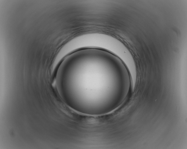 X0000115490325200911061312