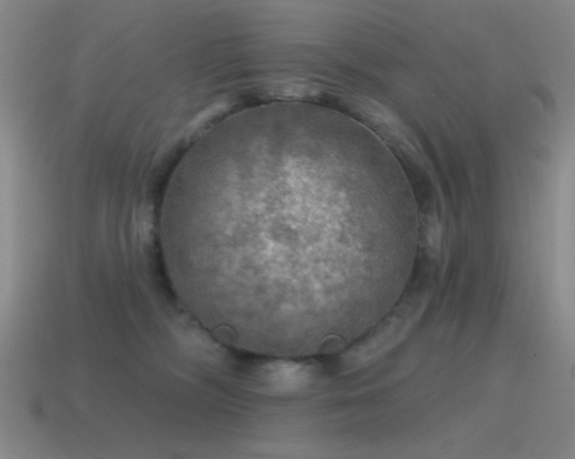 X0000115490326200911061312
