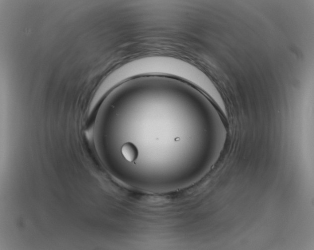 X0000115490327200911061312