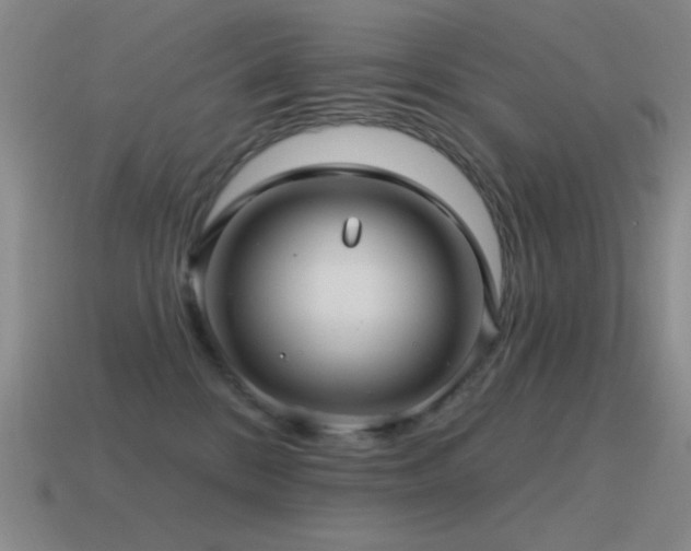 X0000115490328200911061312