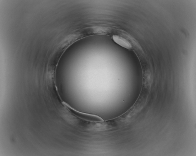 X0000115490329200911061312