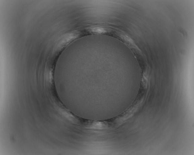X0000115490330200911061312