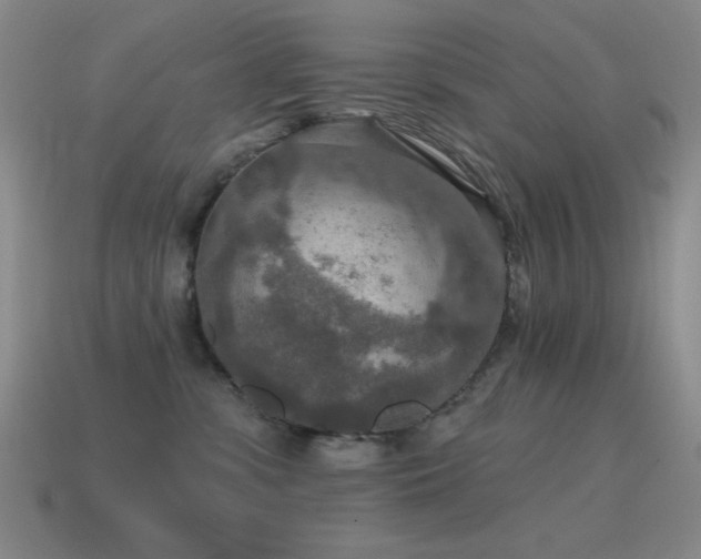 X0000115490331200911061312