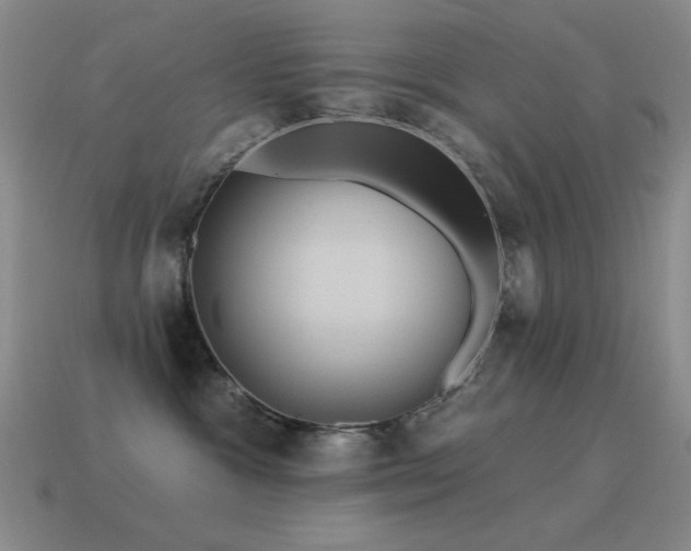 X0000115490333200911061312