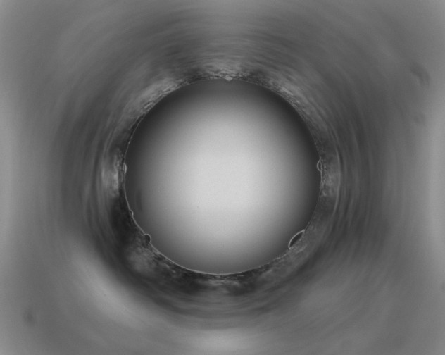 X0000115490334200911061312
