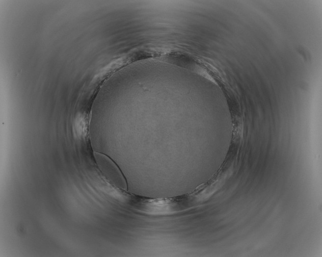 X0000115490335200911061312
