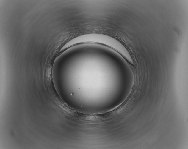 X0000115490336200911061312