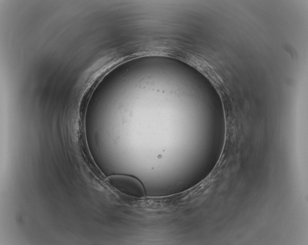 X0000115490338200911061311