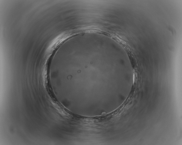 X0000115490339200911061311