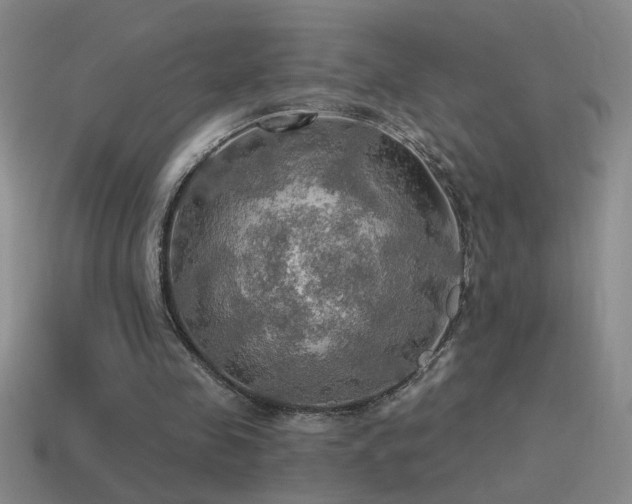 X0000115490341200911061311