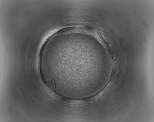 X0000115490342200911061311