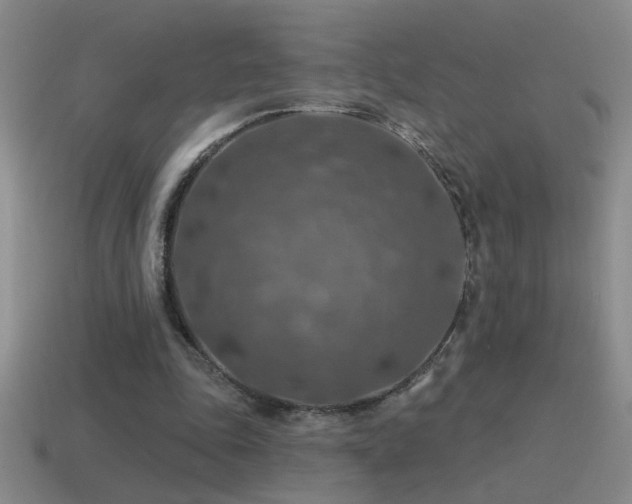 X0000115490343200911061311