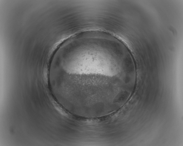 X0000115490345200911061311