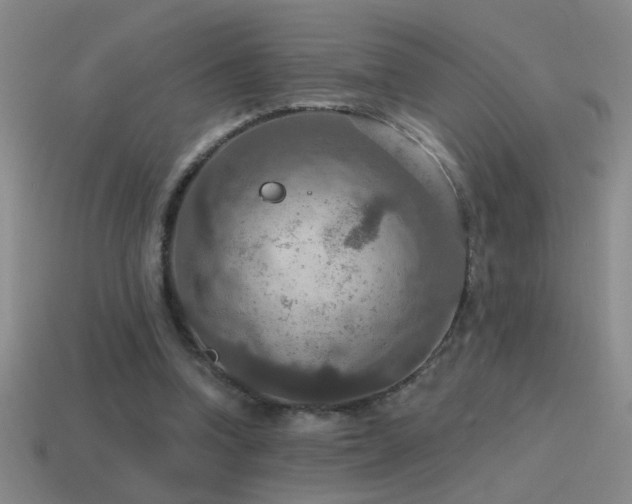X0000115490346200911061311
