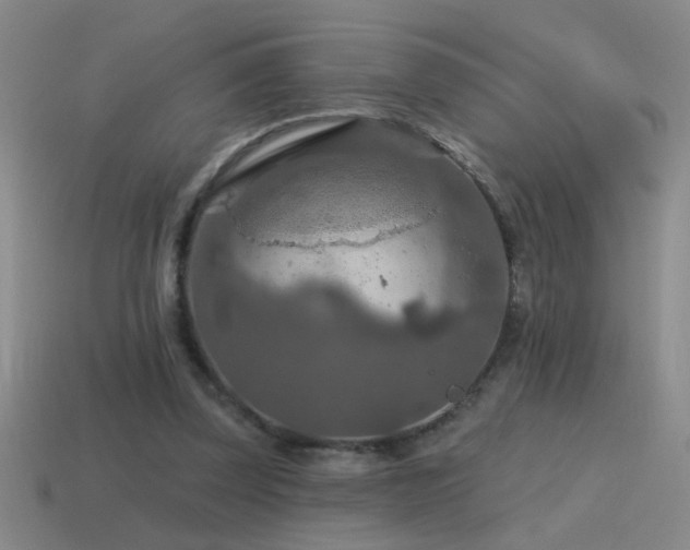 X0000115490347200911061311