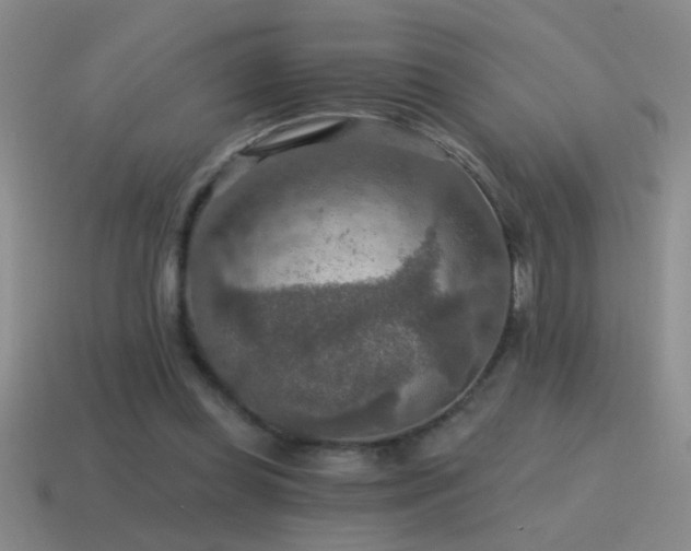 X0000115490349200911061311