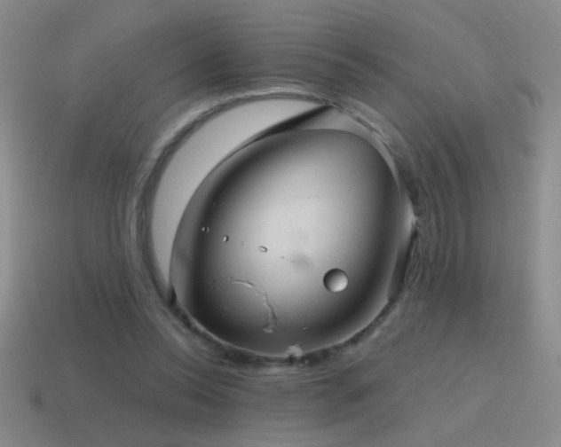 X0000115490350200911061311