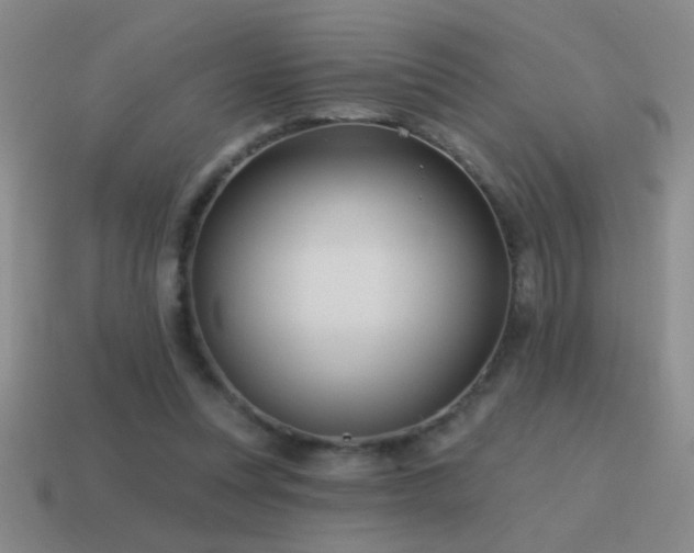 X0000115490351200911061311