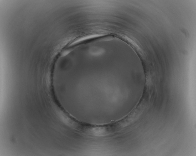 X0000115490353200911061311