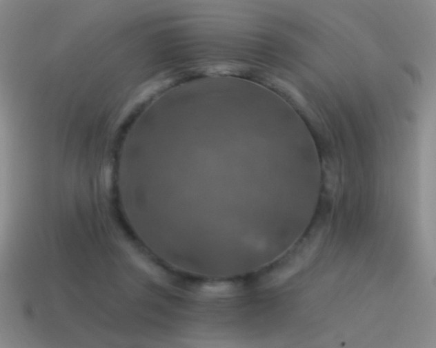 X0000115490357200911061311