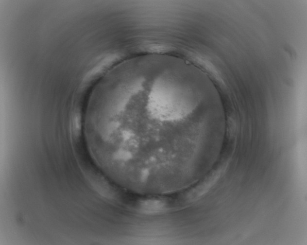 X0000115490358200911061311