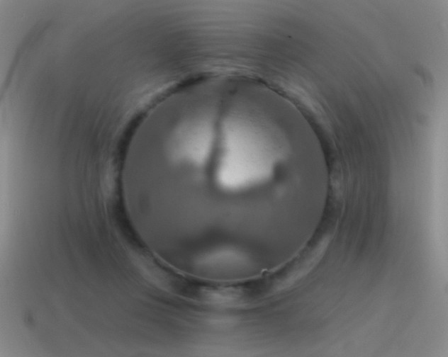 X0000115490359200911061312