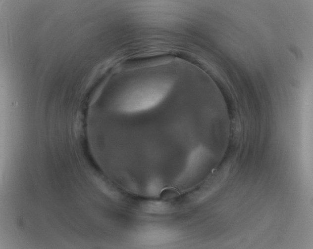 X0000115490361200911061312