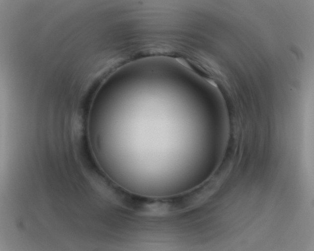 X0000115490362200911061312