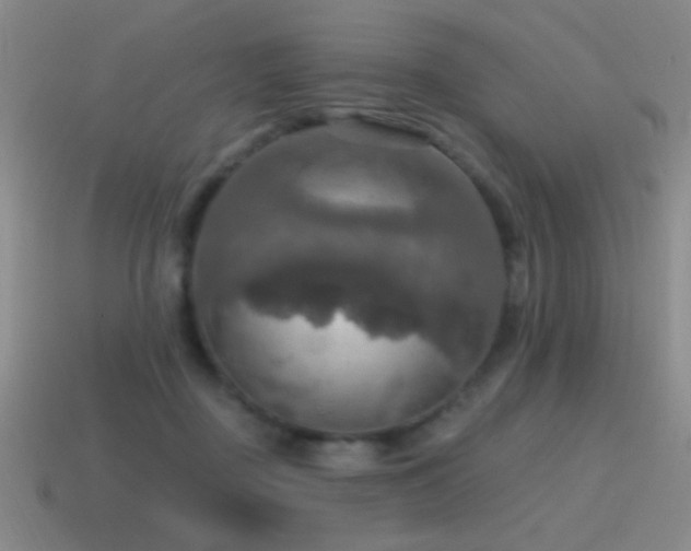 X0000115490363200911061312