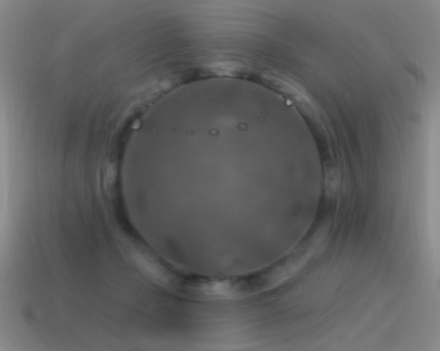 X0000115490365200911061312