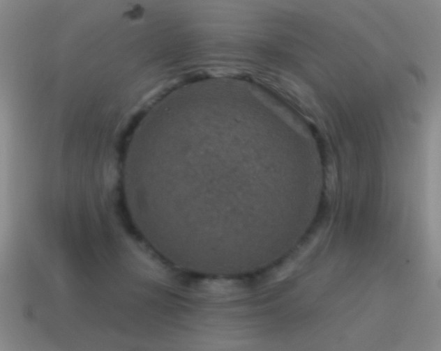 X0000115490367200911061312