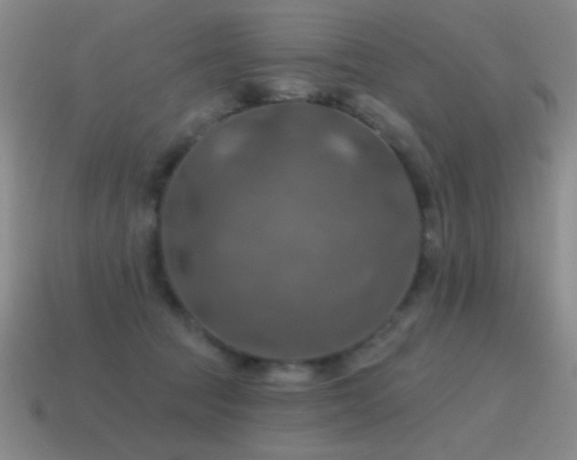 X0000115490369200911061312