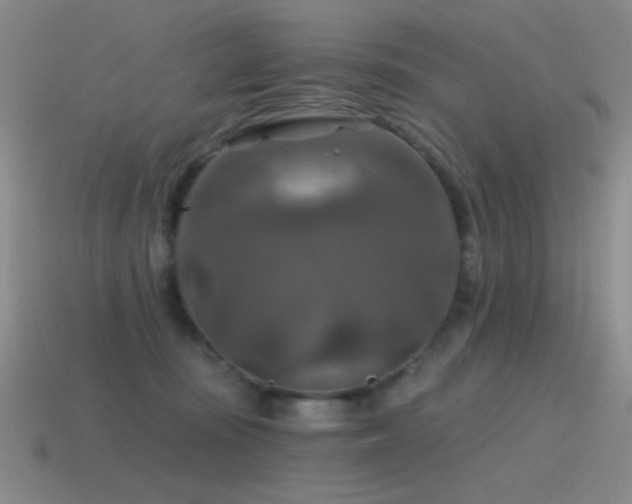 X0000115490371200911061312